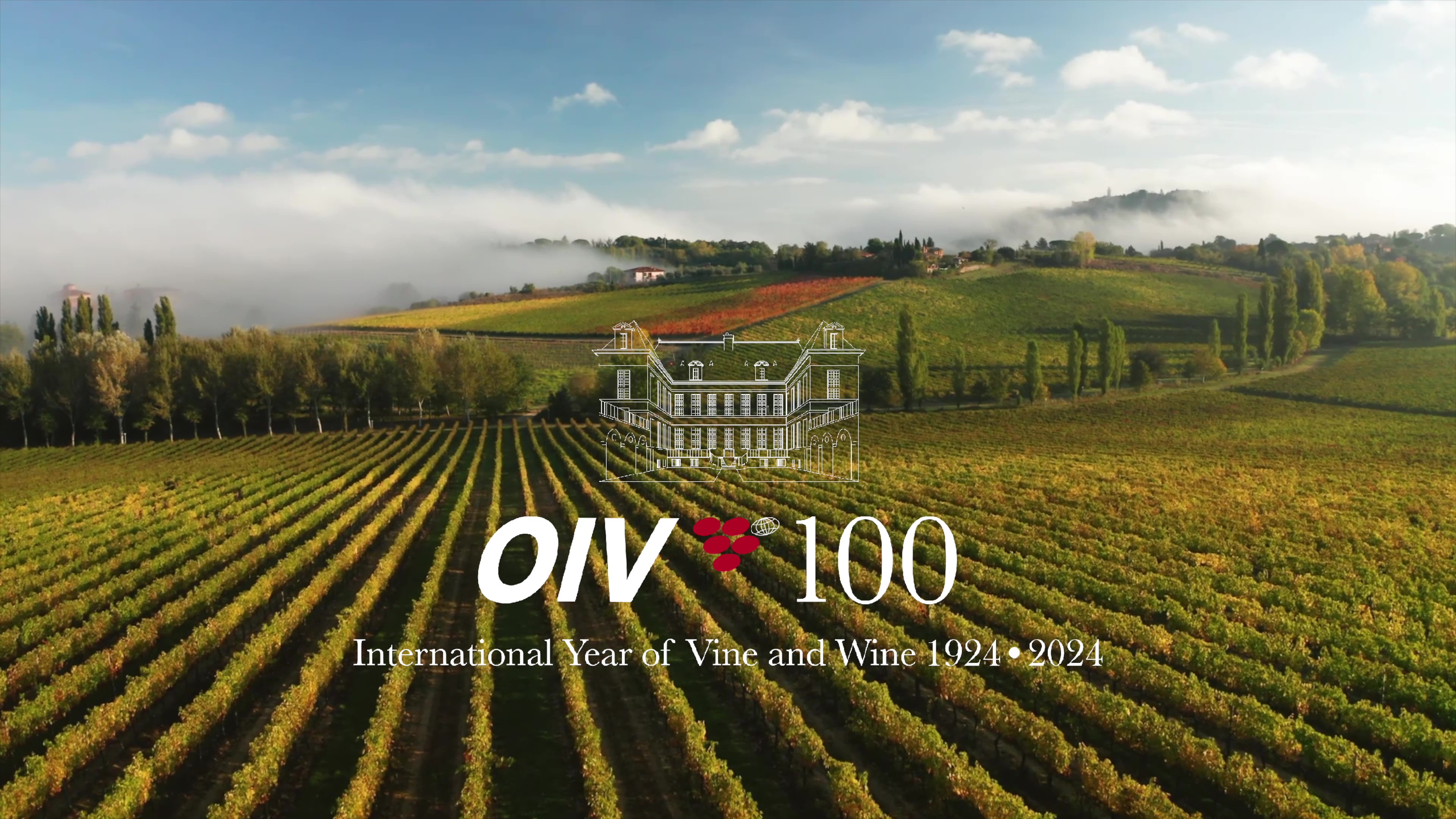 International Year of Vine and Wine OIV